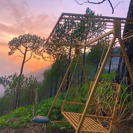 Bed and Breakfast The Westberry 50Mtrs Offroading And 50 Mtrs Nature Path Shimla Exterior foto